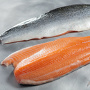 Filete de Salmón premium 1,125 kg